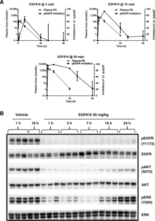 Nazartinib (EGF816, NVS-816)