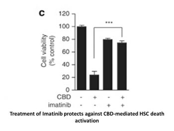 Imatinib Mesylate