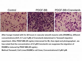 Crenolanib (CP-868596)