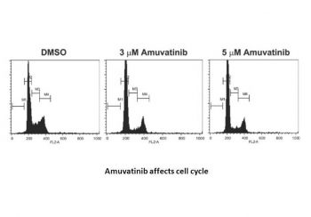 Amuvatinib (MP-470)
