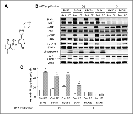 Crizotinib (PF-02341066)