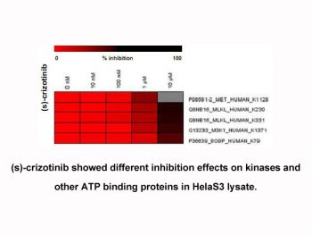 Crizotinib (PF-02341066)