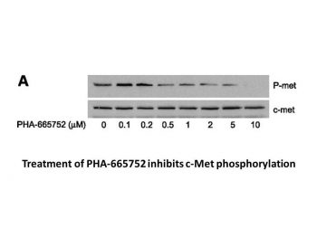 PHA-665752