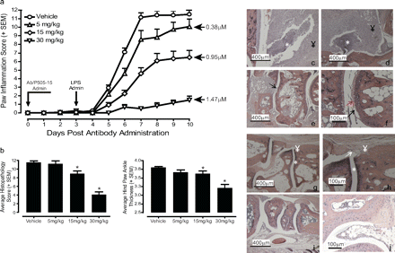 PRT062607 (P505-15, BIIB057) HCl