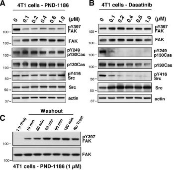 PND-1186 (VS-4718)