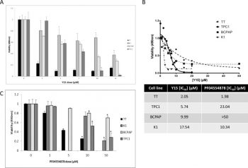 Defactinib (PF-04554878)