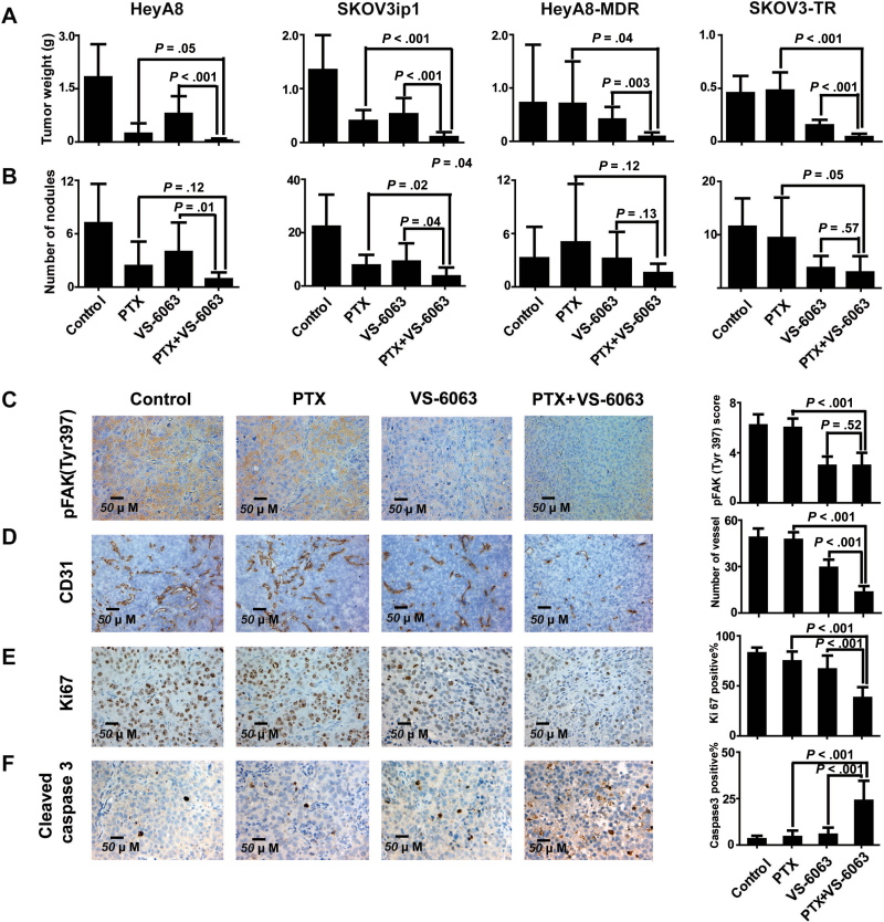 Defactinib (PF-04554878)