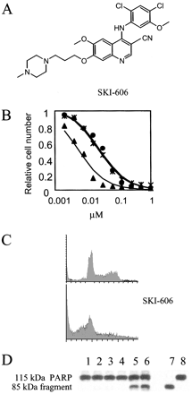 Bosutinib (SKI-606)