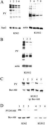 Bosutinib (SKI-606)