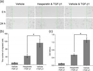 Hesperetin