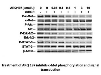 Tivantinib (ARQ 197)