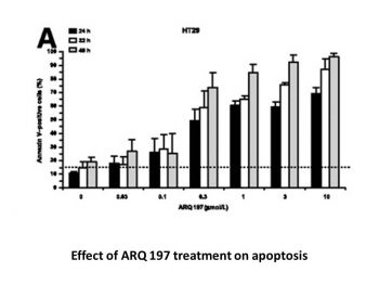 Tivantinib (ARQ 197)