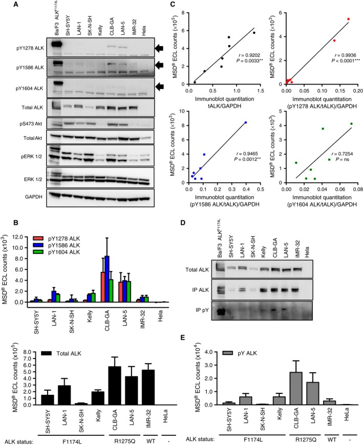 Ceritinib (LDK378)