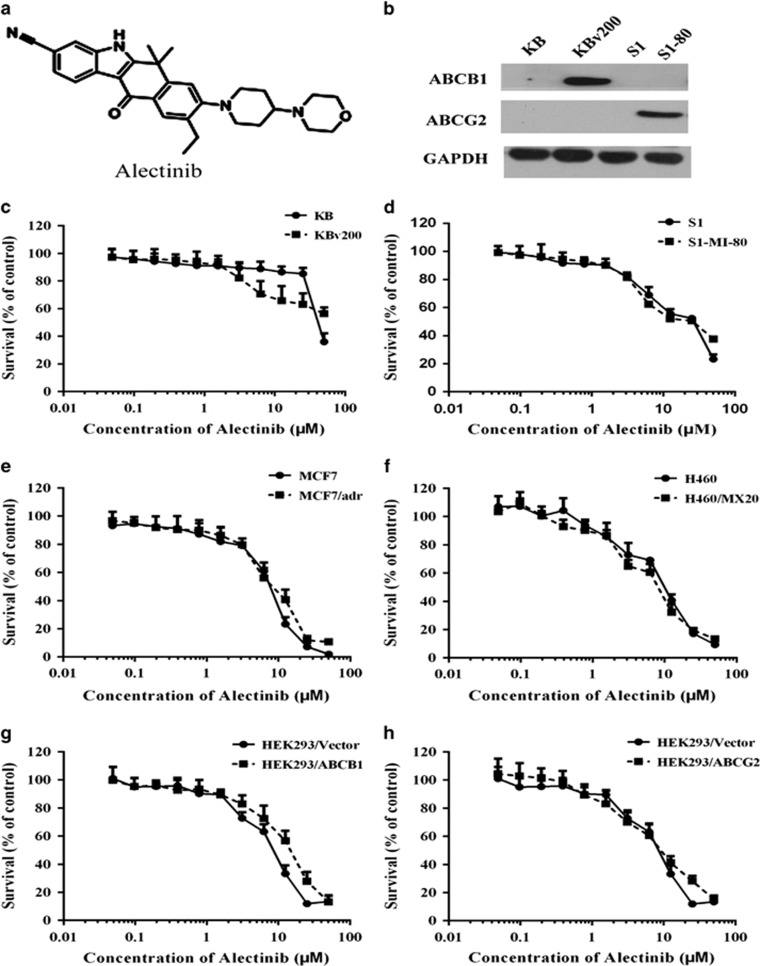 Alectinib (CH5424802)