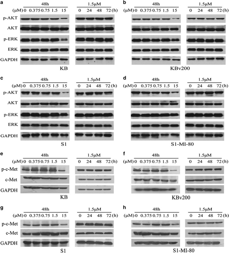 Alectinib (CH5424802)