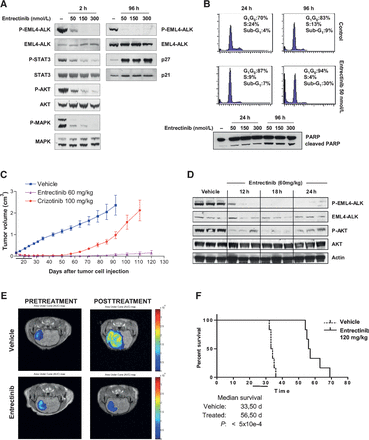 Entrectinib 