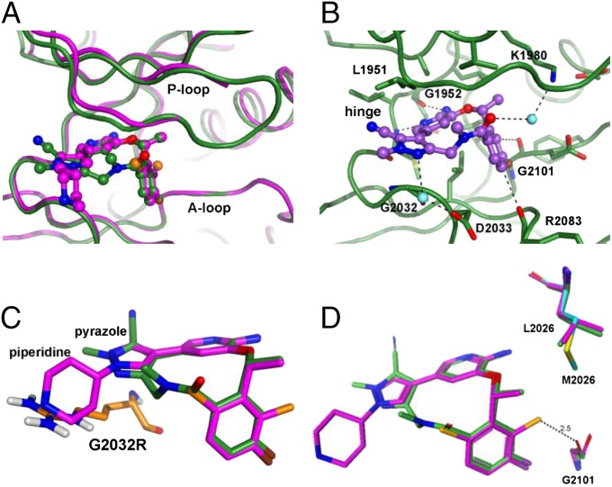 Loratinib (PF-06463922)