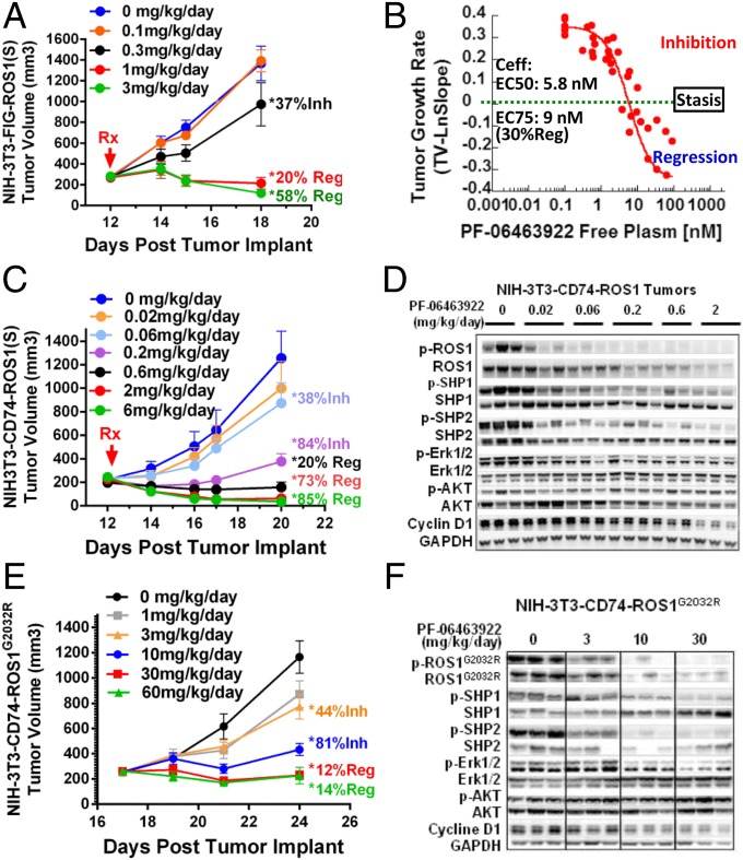 Loratinib (PF-06463922)