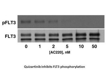 Quizartinib (AC220)