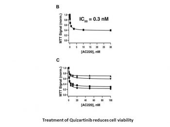 Quizartinib (AC220)