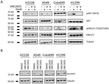 UNC-2025 HCl