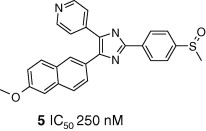 Tie2 kinase inhibitor