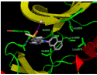 Tie2 kinase inhibitor