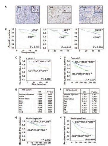 Pexidartinib (PLX3397)