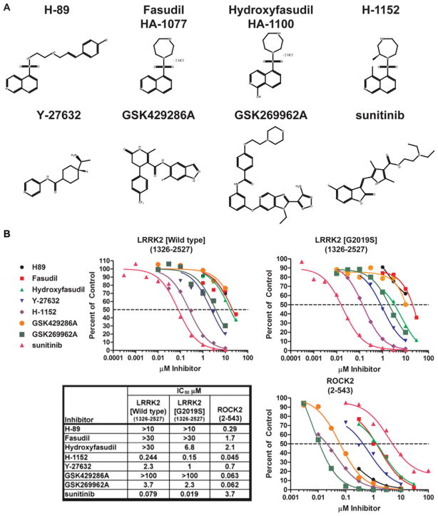 GSK429286A