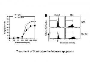 Staurosporine