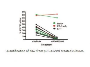 Palbociclib (PD-0332991) HCl