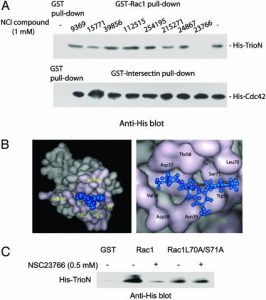 NSC-23766 3HCl