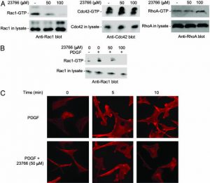 NSC-23766 3HCl