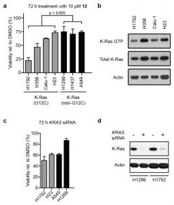 K-Ras(G12C) inhibitor 12