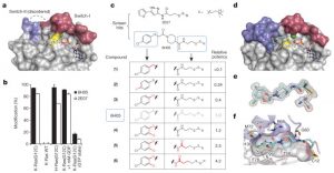 K-Ras(G12C) inhibitor 12