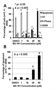 BS-181 HCl