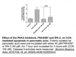 FRAX597