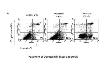 Docetaxel Trihydrate