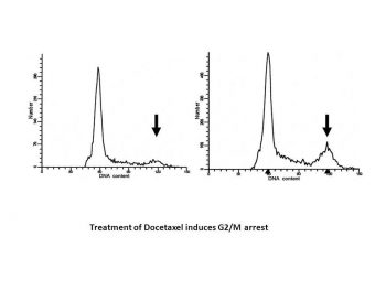 Docetaxel Trihydrate