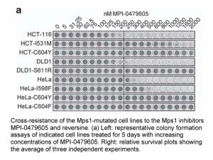 MPI-0479605