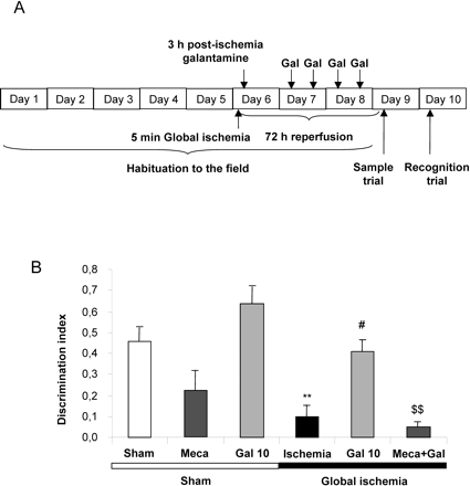 Galanthamine HBr