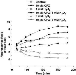 Ciclopirox ethanolamine