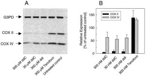 Tenofovir Disoproxil Fumarate