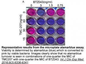 BTZ043