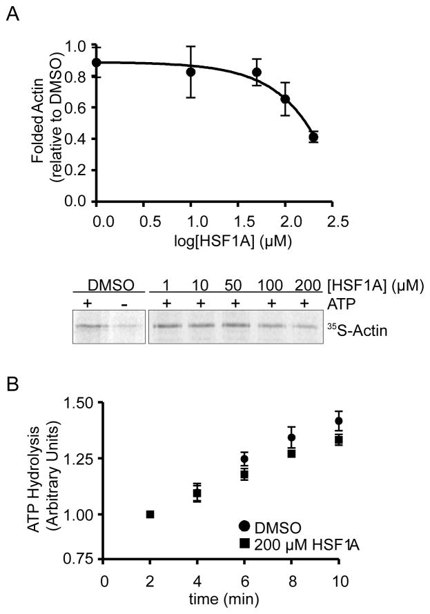 HSF1A