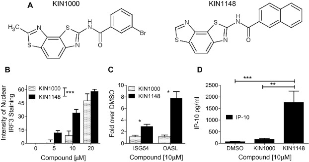 KIN1148