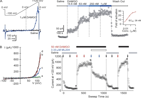 ML204 HCl