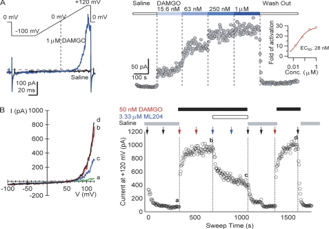 ML204 HCl