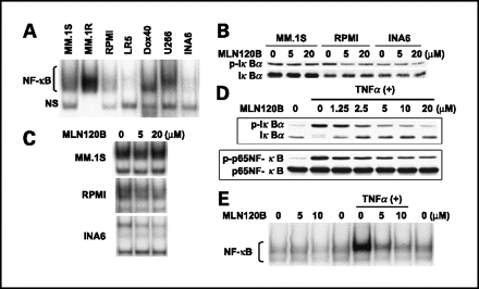 MLN120B 