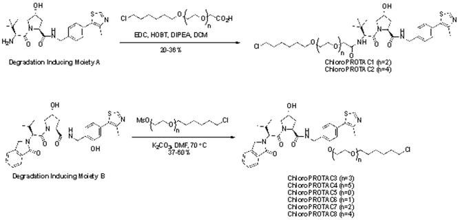 Protein degrader 1 hydrochloride  